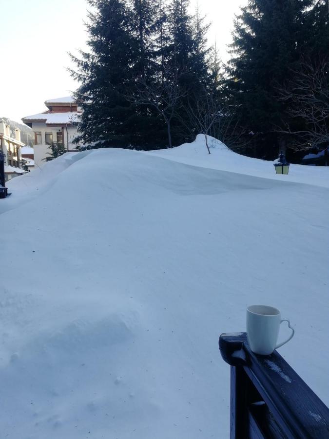 IV Apartment In The Wonderful Rhodope Mountain Смолян Экстерьер фото
